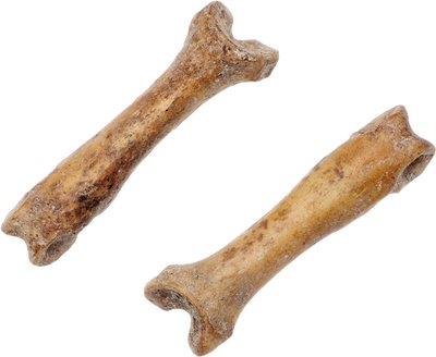 Pine marten bones